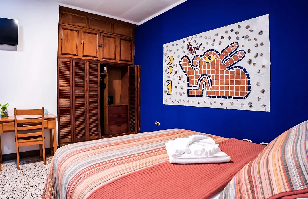 Hotel Boutique Mosaico-1