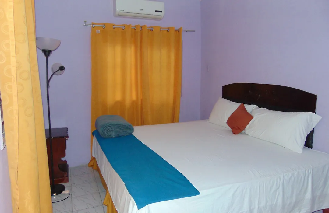 Tropical Manor Inn - Kingston-1