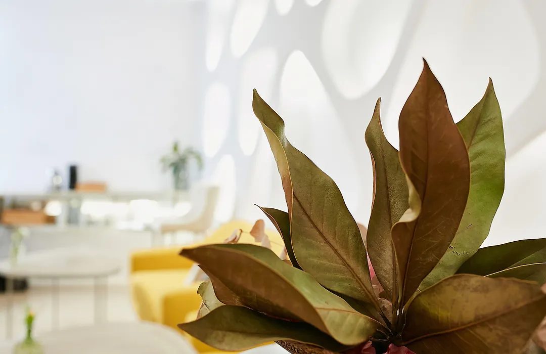 Hotel Suite Generis (Adults Only)-1