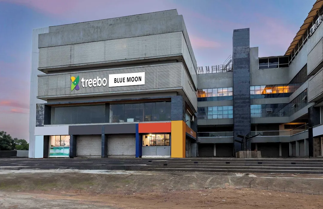 Treebo Blue Moon-1