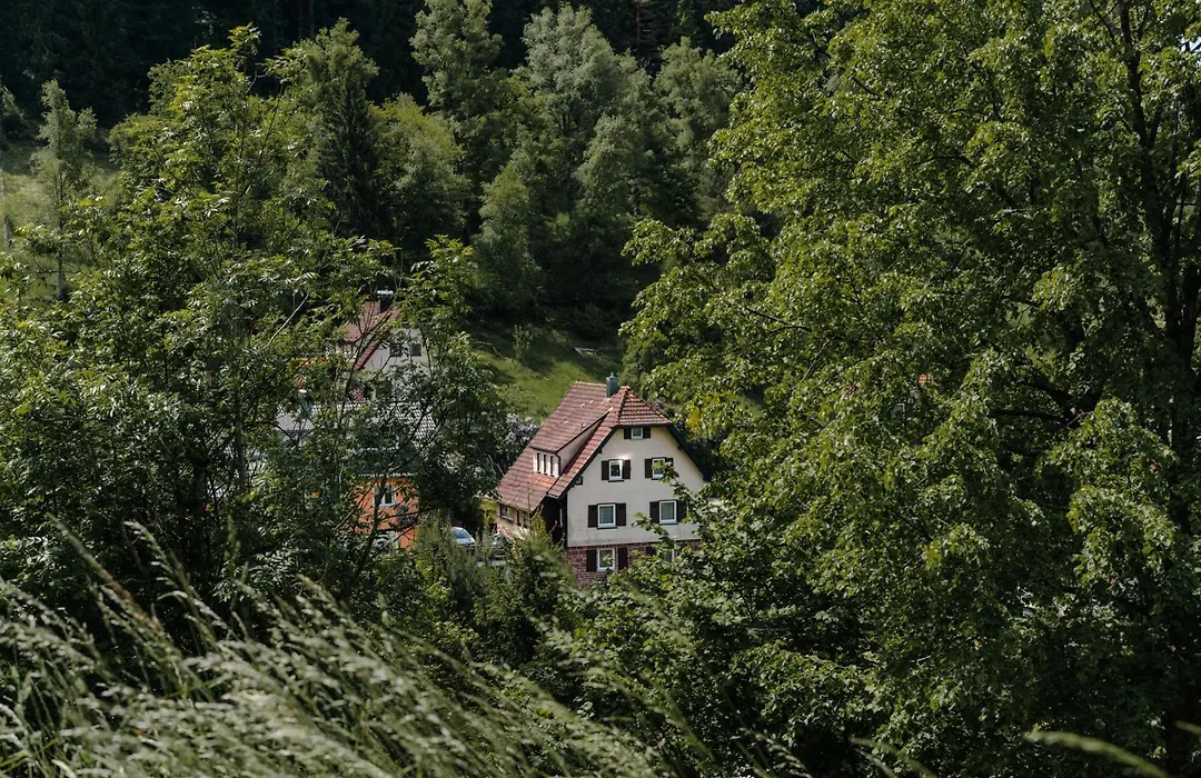 Gästehaus Talblick Baiersbronn-1
