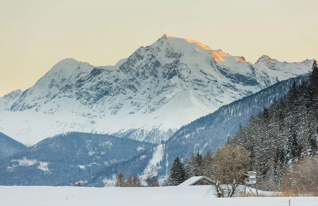 Hotel Alpenrose-1