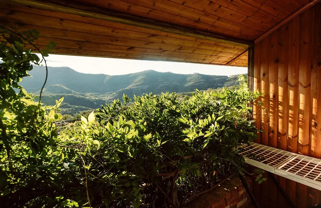Alpeta Agrotourism & Winery - Roshnik , Berat-1
