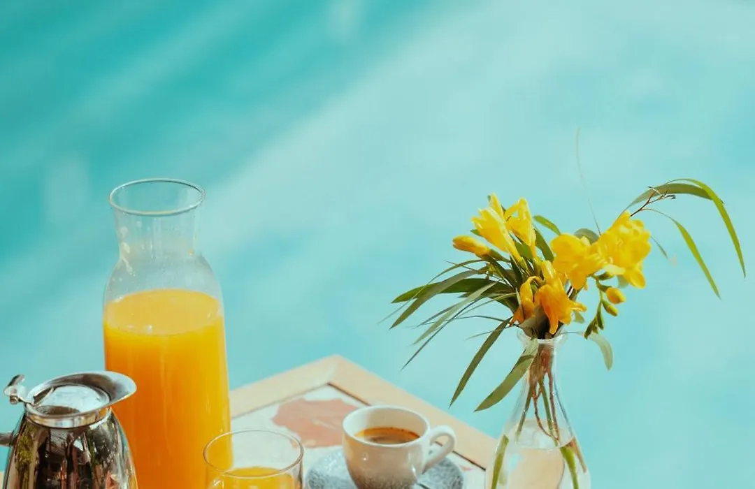 Villa Duflot Hotel & Spa Perpignan-1
