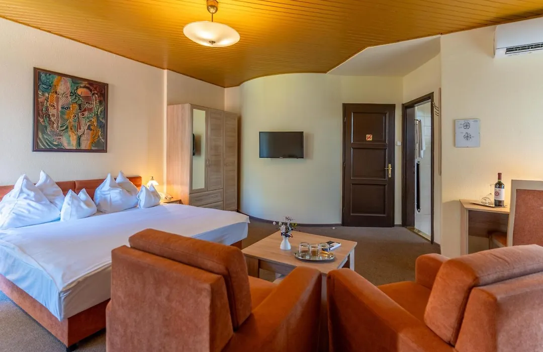 Hotel Molnar-1