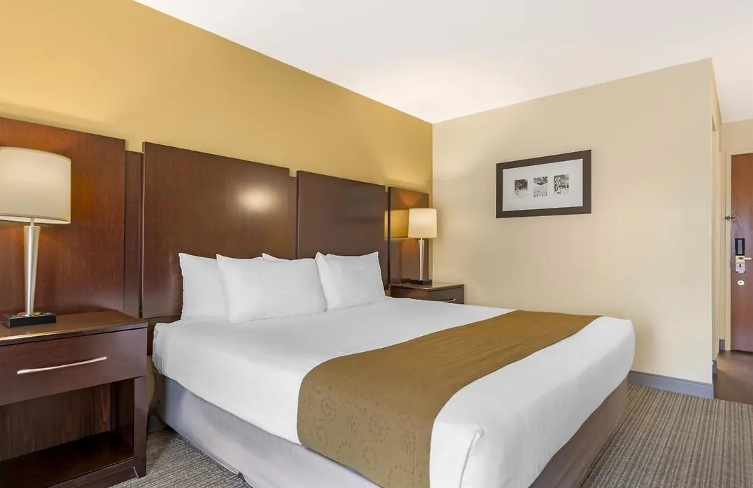 Best Western Plus Plaza By The Green-1