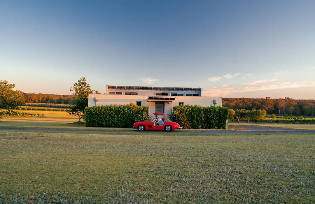Adina Vineyard-1