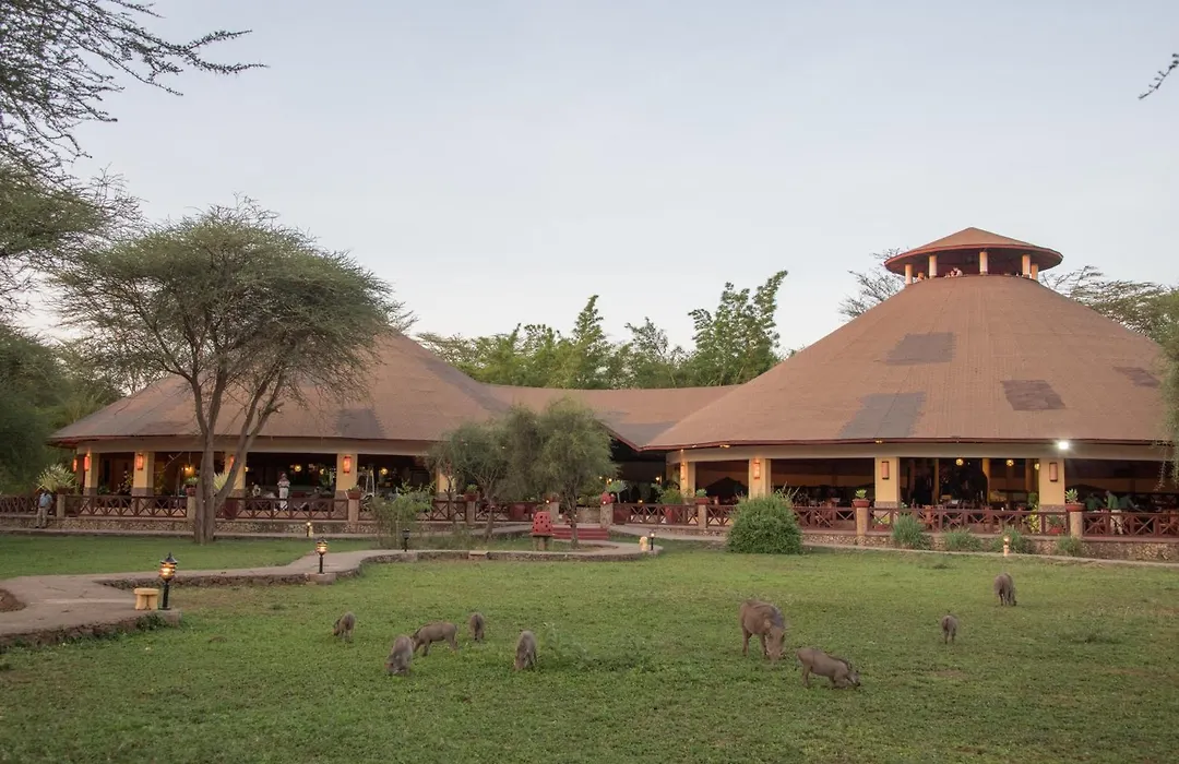 Kilima Safari Camp-1
