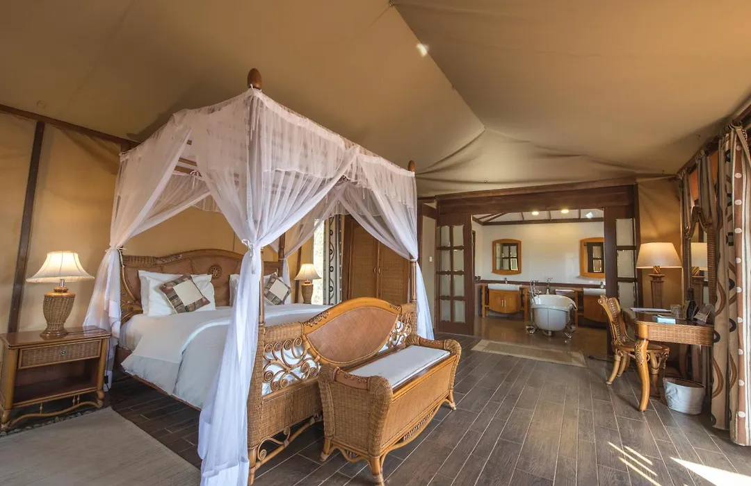 Kilima Safari Camp-1