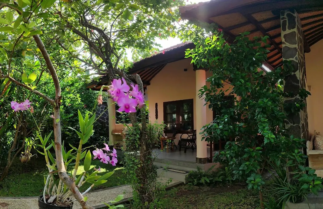 1000 Dream Bungalow-1