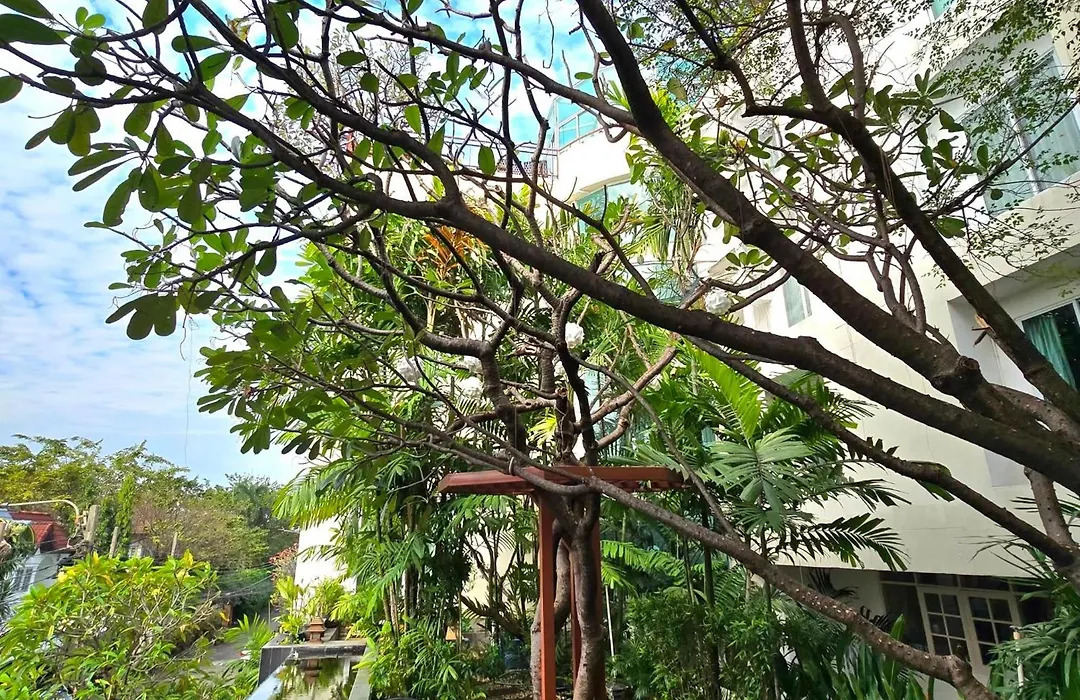 Bansabai Hostelling International-1