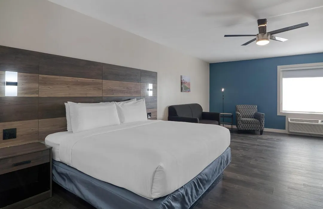 Hom Hotel Gainesville, Surestay Collection By Best Western-1