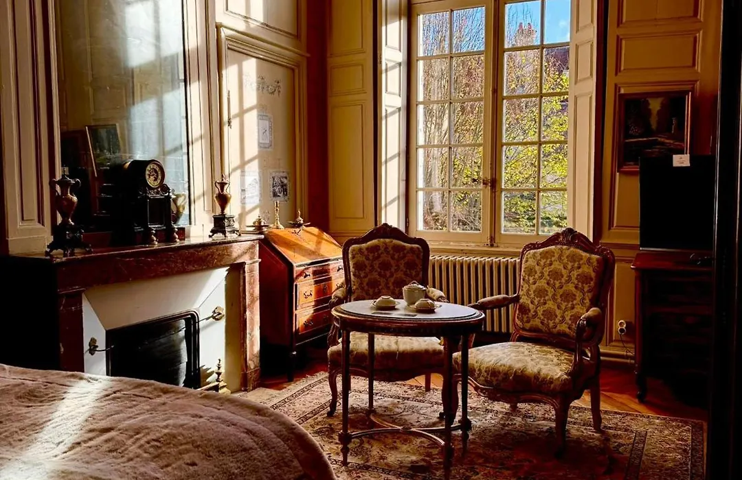 L'Hotel De Panette, Un Exceptionnel Chateau En Coeur De Ville - Parking Prive Cour-1