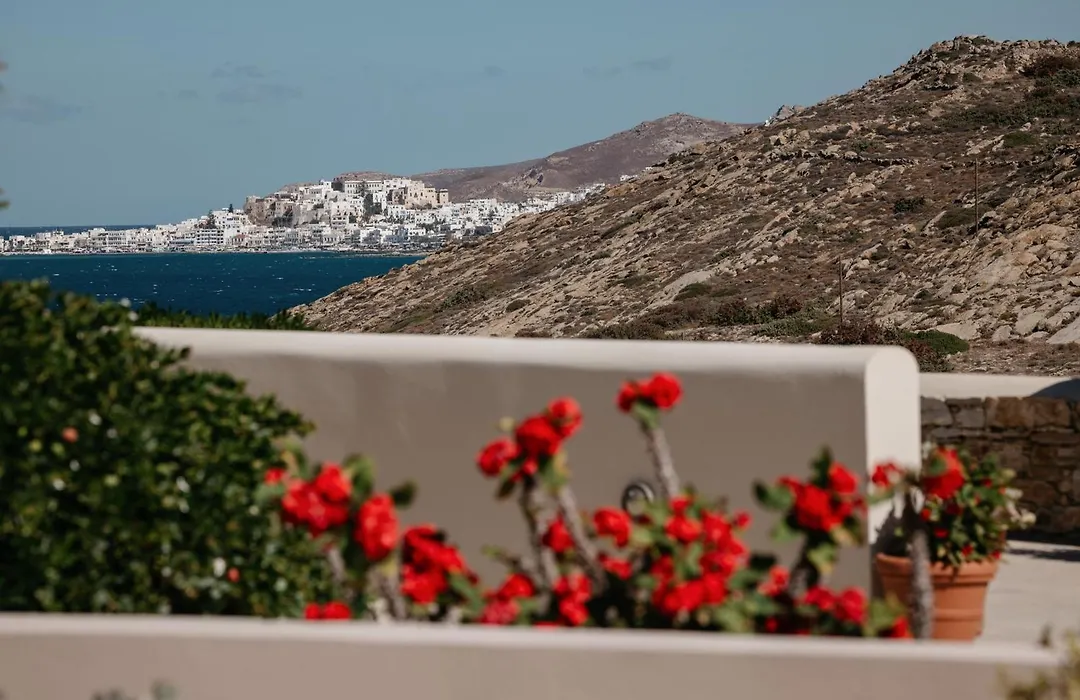 Kouros Art Hotel - Designed For Adults-1