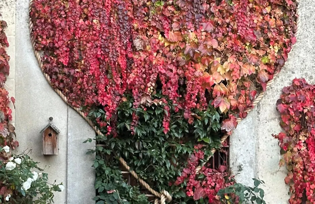 Logis Saint-Flaceau-1