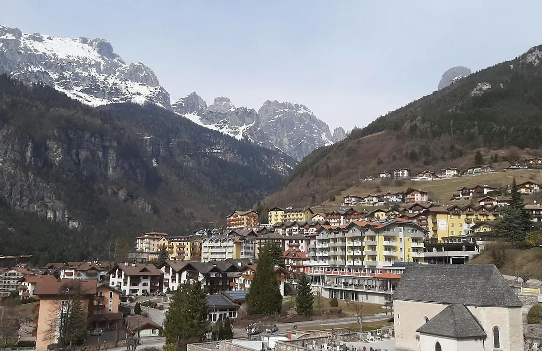 Hotel Des Alpes-1
