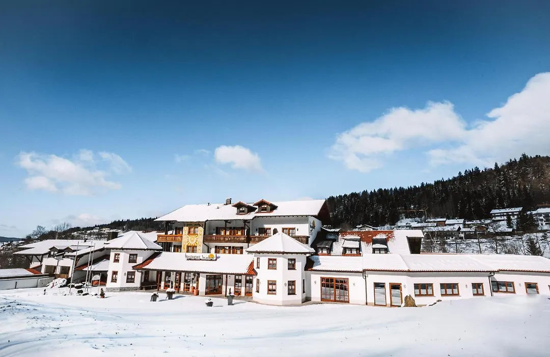 Wellness- und Wohlfühlhotel Waldeck-1