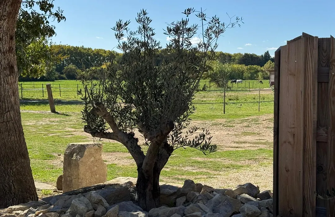 B&B Maison d'hôte et gite Mas d'Eymard-1