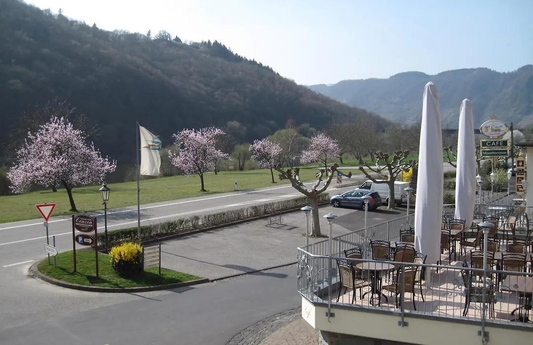 B&B Hotel Moselterrasse-1