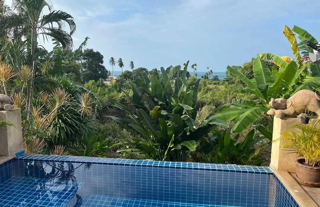Pink House Guest House Lamai - Pool & Sea View-1