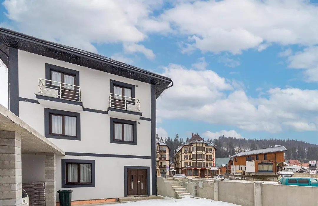 Villa Vlad & Spa-1