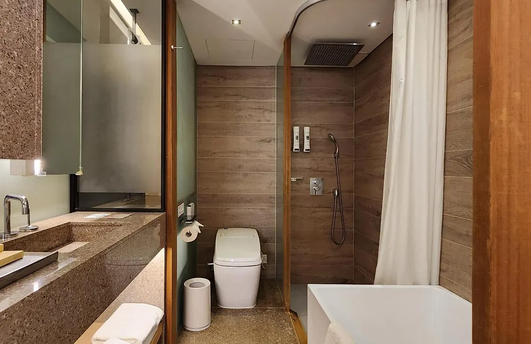 Sotetsu Hotels The Splaisir Seoul Myeongdong-1