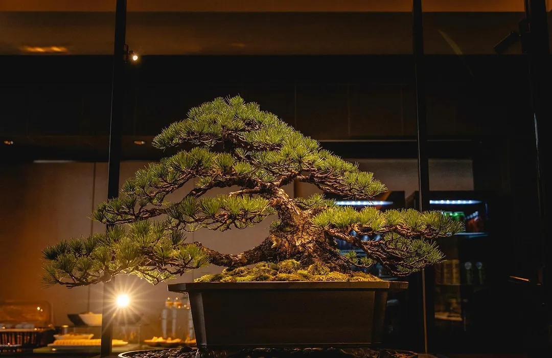 Hotel Gracery Kyoto Sanjo-1