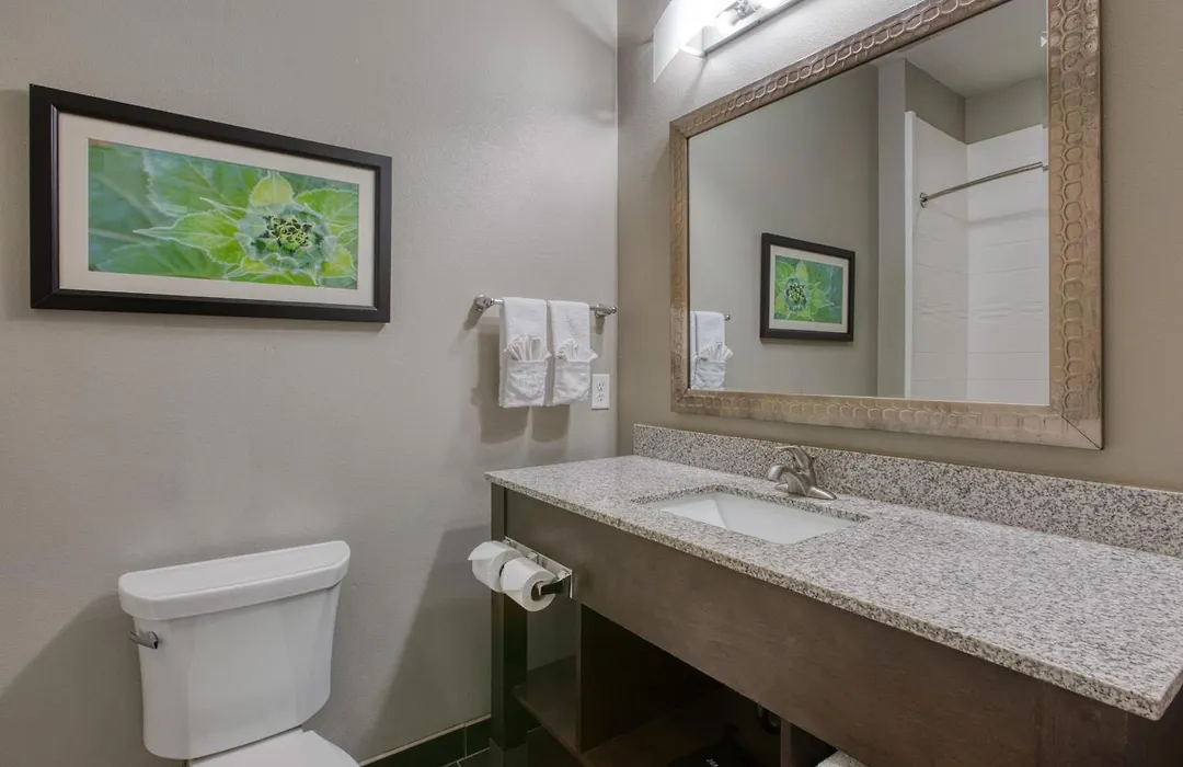 Best Western Plus Tech Medical Center Inn-1