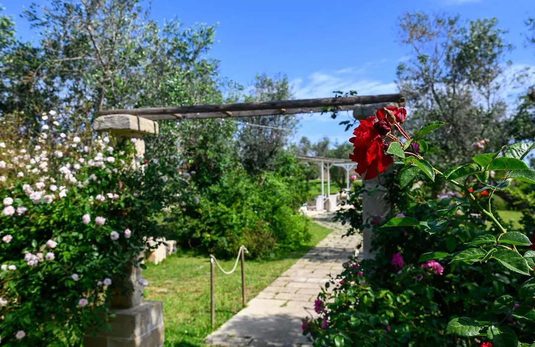 Agriturismo Tenuta Calitre-1
