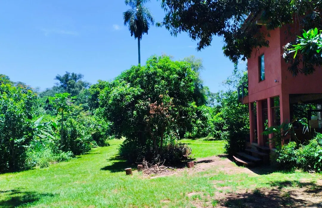 Nativa Iguazu-1