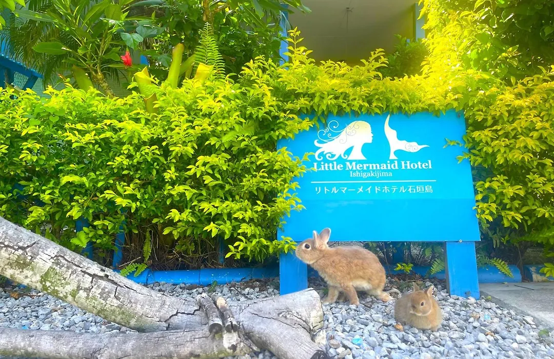 Little Mermaid Hotel Ishigakijima-1