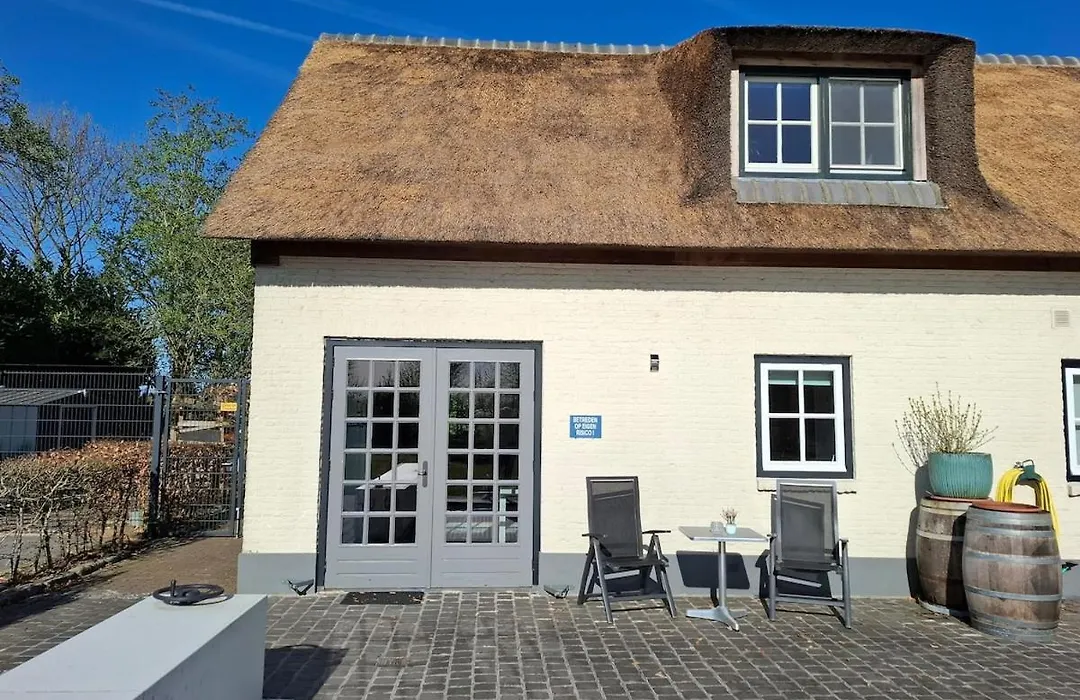 Guesthouse Rijsbergen_Zundert-1