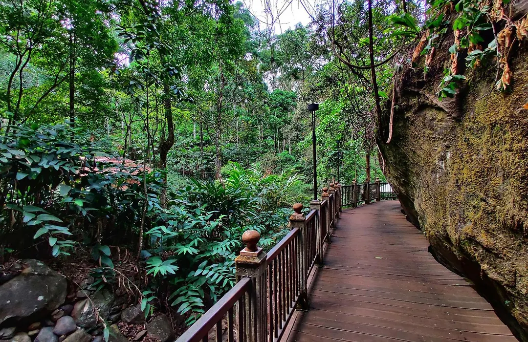 Mystic Mayapott, Thekkady-1