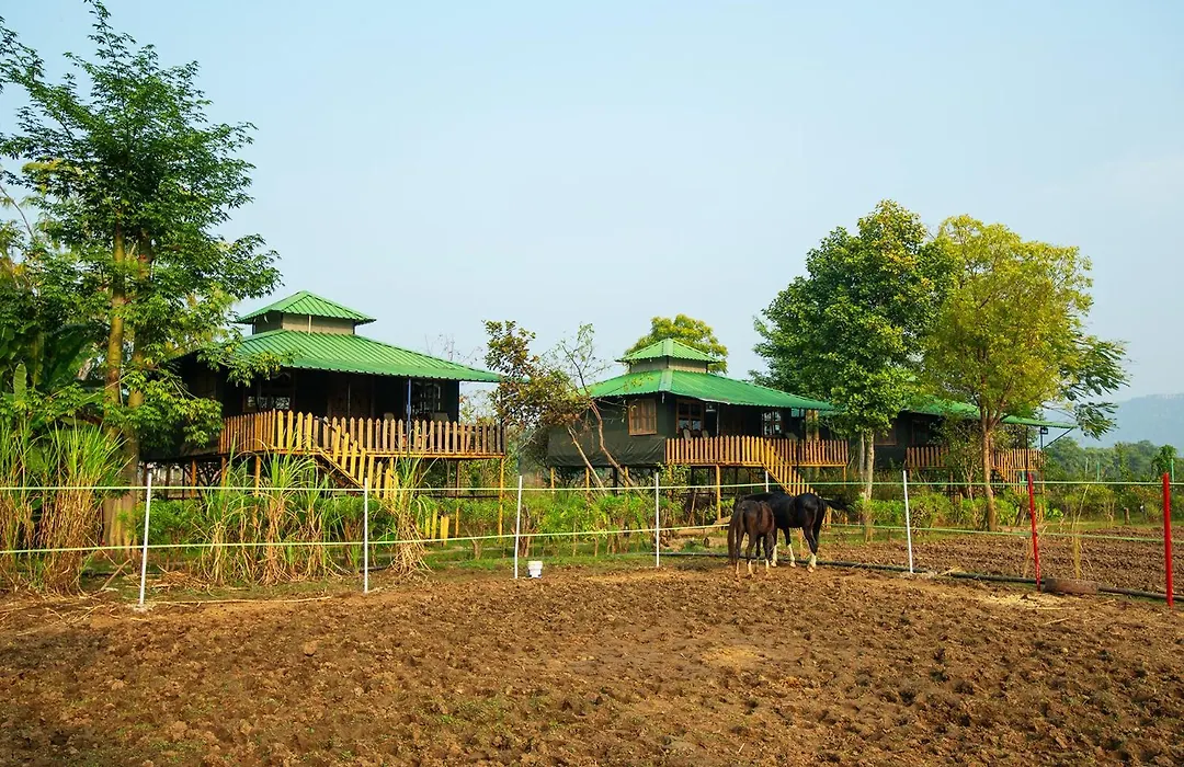 Maa Ashapura Resort-1