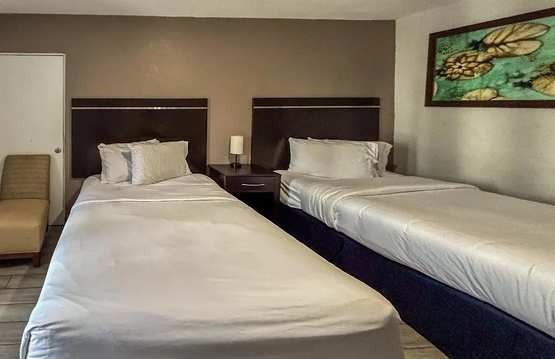 Motel 6 Altamonte Springs Fl-1