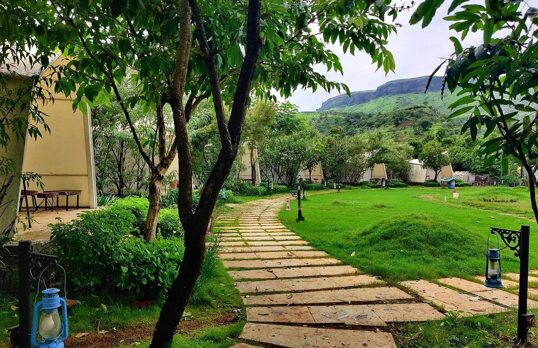 Touchwood Bliss Nature Retreat - Igatpuri-1