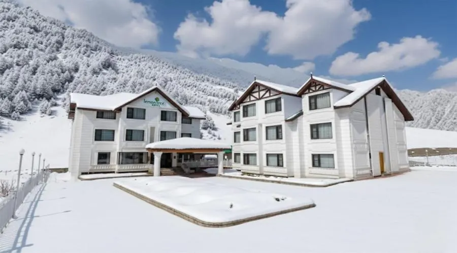 Lemon Tree Hotel, Sonmarg By The Riverside-1