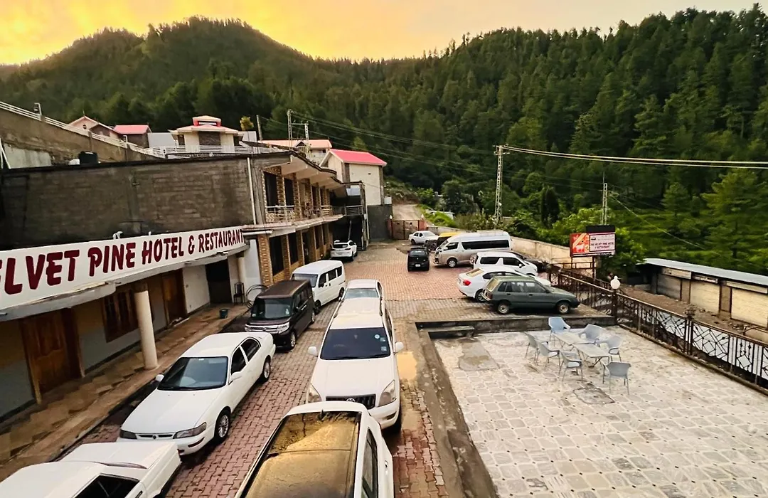 Velvet Pine Hotel-1