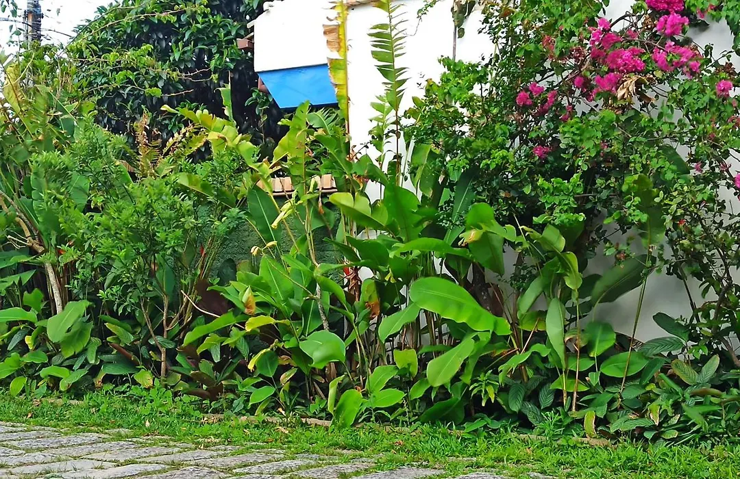 Pousada Natur Campeche-1