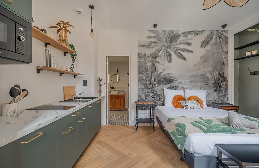 Felix Appart'Hotel - Climatisation, Arrivee Autonome, Centre De Romans Sur Isere-1