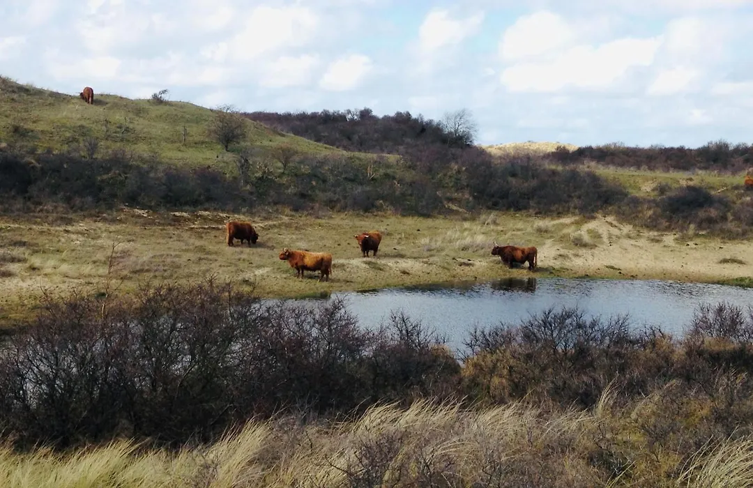 Millsight-1