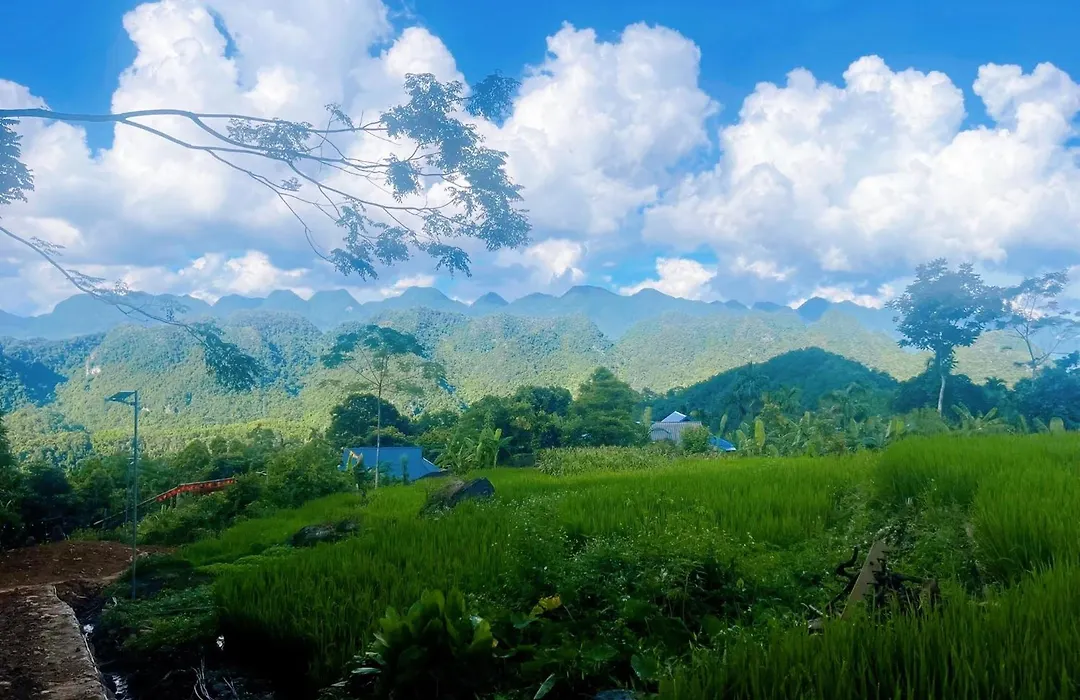 Pu Luong Mist Valley Home-1