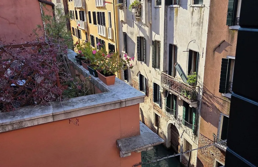 Ca Dell'Arte Palace-1