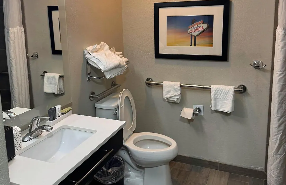 Gallus Stadium Park Inn, An Ascend Collection Hotel-1