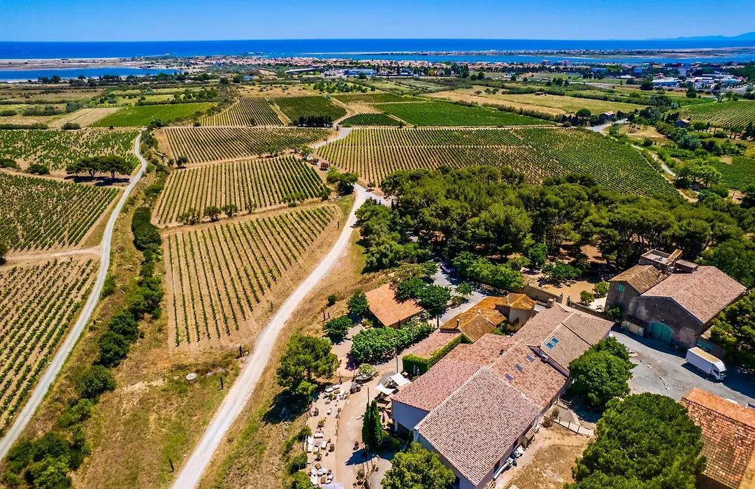 Château le Bouïs-1