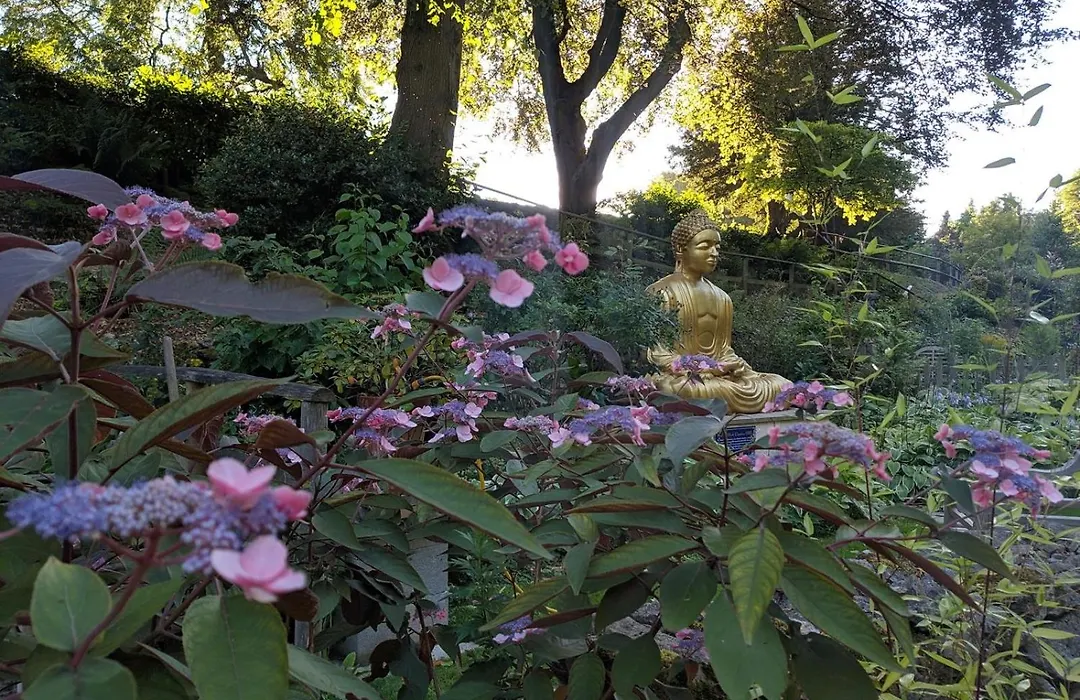 Cascades Gardens-1