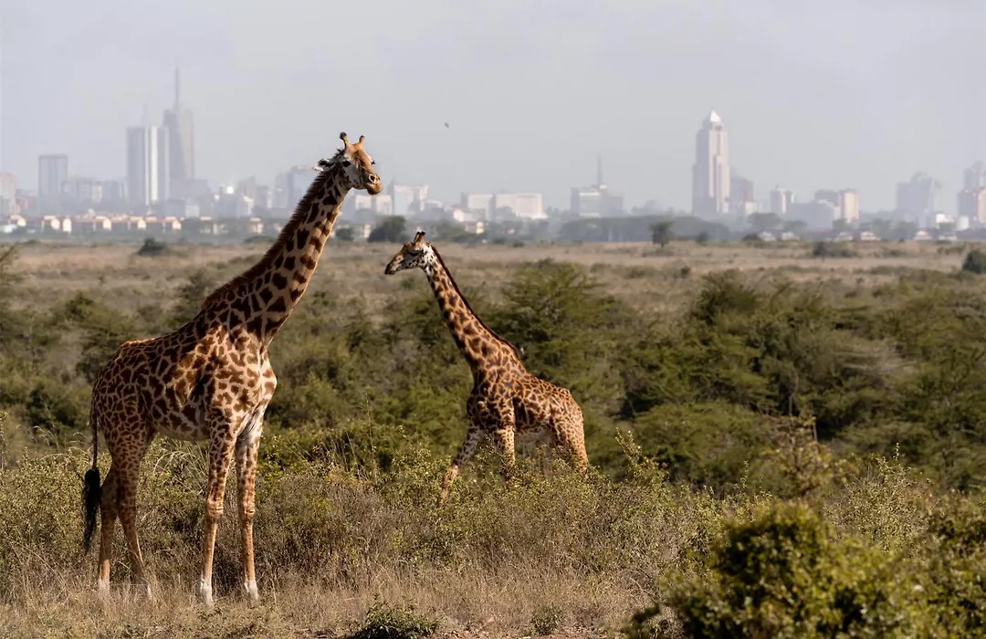 Radisson Blu Hotel, Nairobi Upper Hill-1