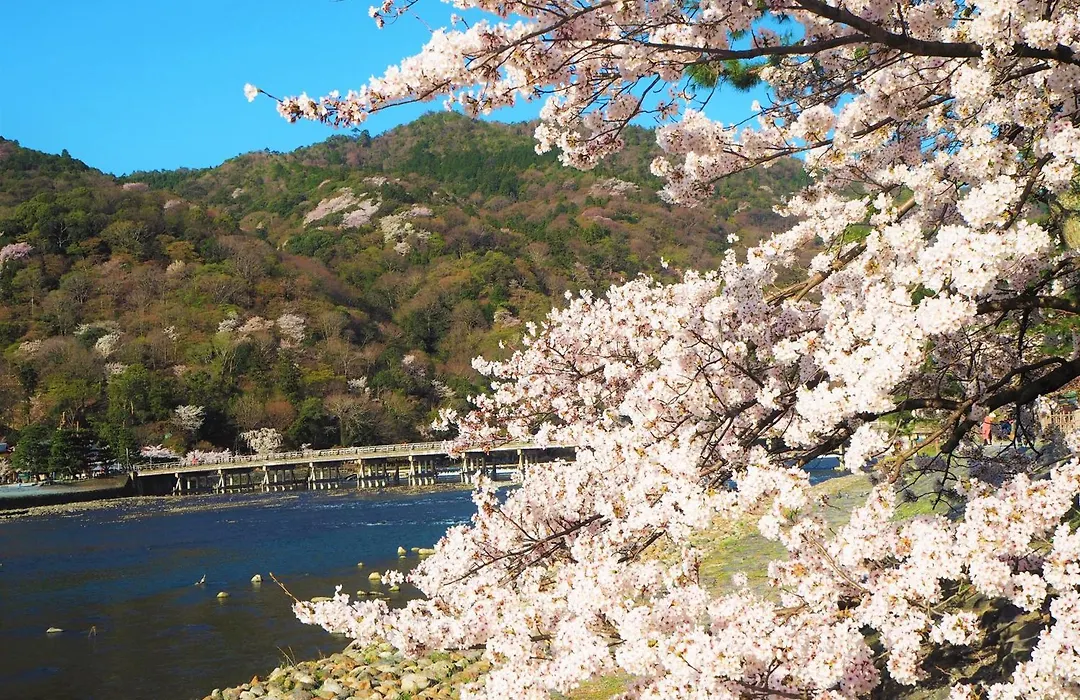 Muni Kyoto-1
