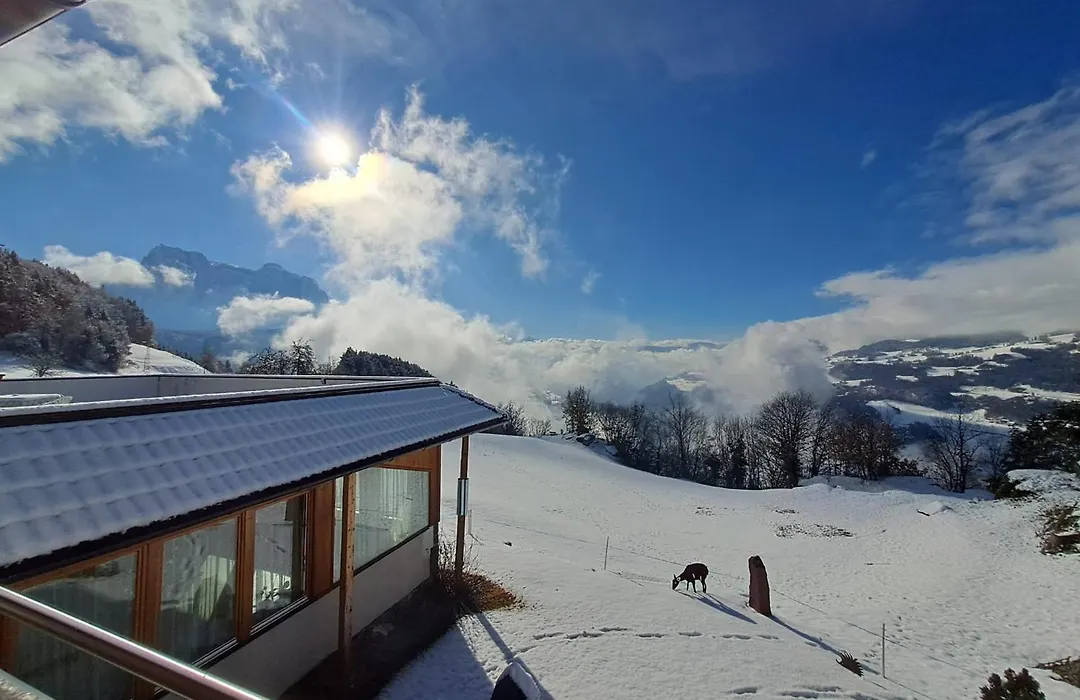 B&B Gasthaus Lieg-1