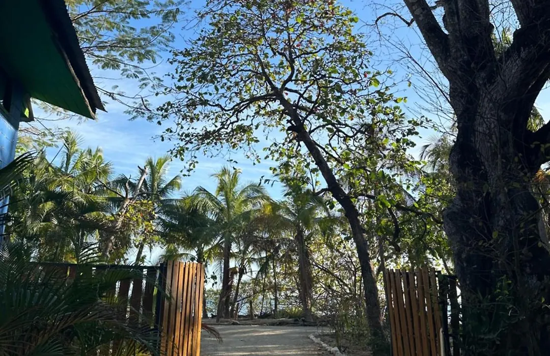 Beach Front Bahia-1